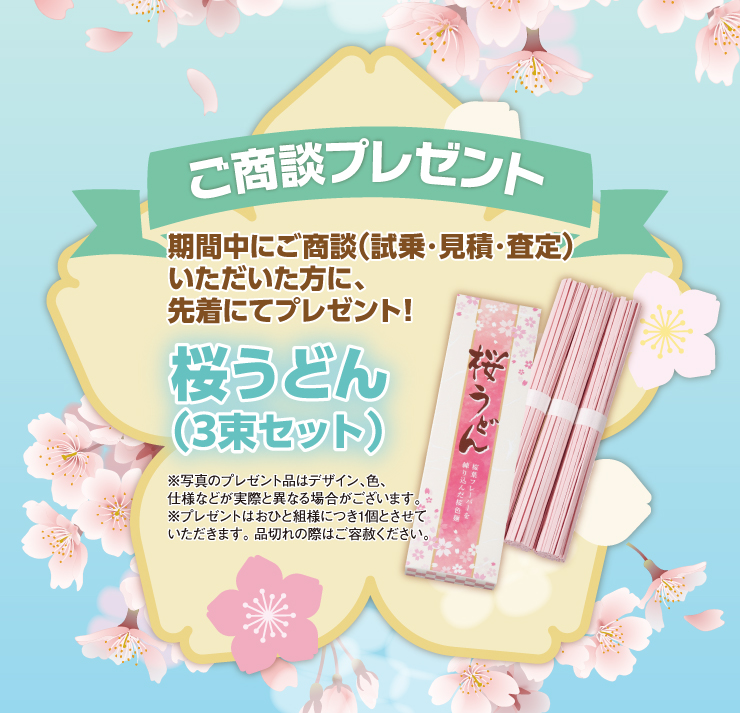 ご商談プレゼント「桜うどん（3束セット）」